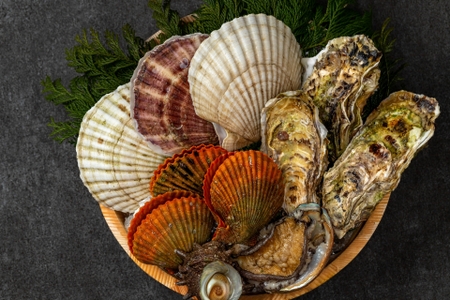 【海の宝石】貝類･ウニを味わおう！知られざる特徴とおすすめの楽しみ方