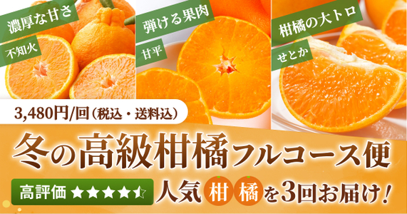 厳選柑橘を3か月間楽しめる！「冬の高級柑橘フルコース便」