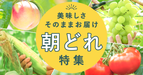 【朝どれ直送】取れたてみずみずしい美味しさをそのままお届け！朝どれ野菜＆果物特集