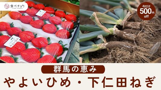 寒さが育む、極上の甘み。冬を彩る群馬の「やよいひめ」と「下仁田ねぎ」