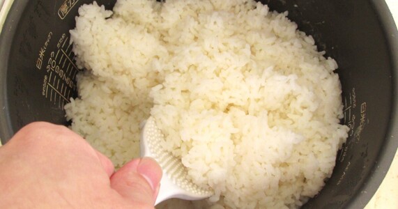 黄色い米は食べられる？原因・見分け方・保存法を解説