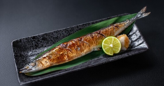 魚の盛り付け向きを種類別に解説｜焼き魚・切り身・刺身