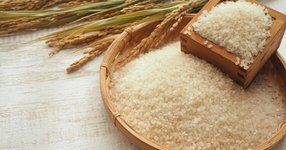 米ギフト選びの完全ガイド｜予算別・シーン別の選び方