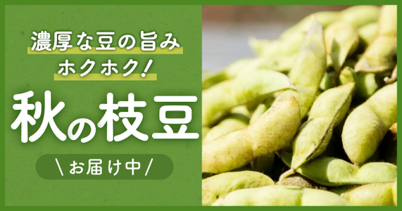 【秋の枝豆特集】季節とともに変わる味わいを楽しむ！