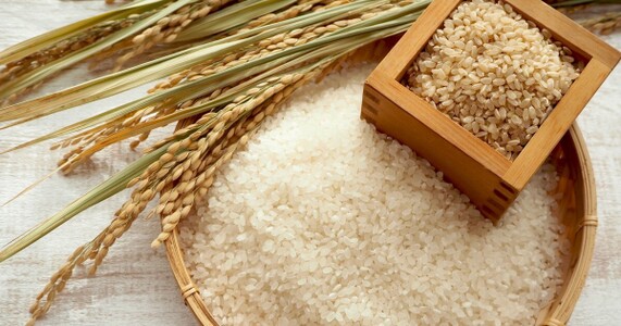 米の7分づきとは｜栄養・炊き方・保存を徹底解説
