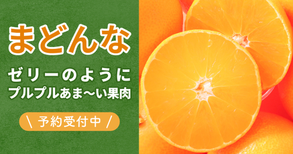 【愛媛が誇る"超人気"柑橘】「まどんな」を大特集！ぷるぷる果肉にやみつき必至！