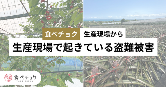 生産現場で起きている盗難被害。被害に遭った生産者の声
