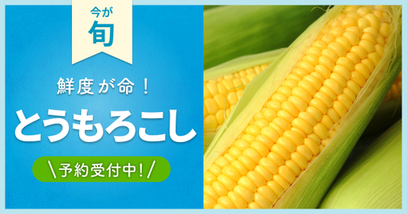 今年は食べ尽くしたい!【とうもろこし】の魅力