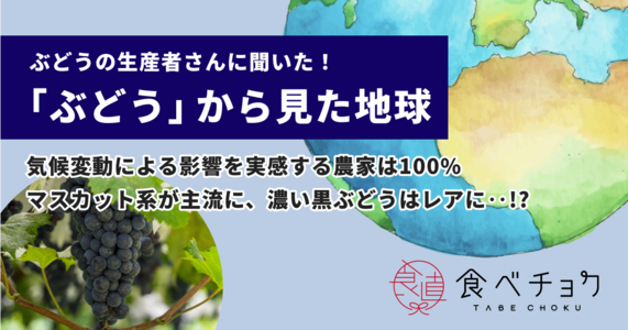 ぶどう農家さんに聞いた！＜ぶどうからみた地球＞ 気候変動による影響を実感する生産者は100%。色の濃いぶどうは珍しくなる‥!?