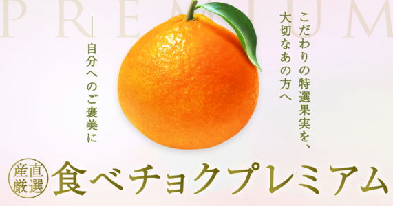 【国産完熟・食べチョクプレミアム】　極上柑橘　「まどんな」や「はるみ」など勢揃い