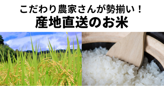 【食べチョクで自分好みを探そう！】産地直送のお米特集