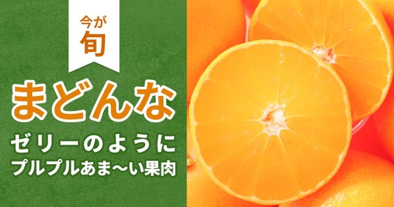 【愛媛が誇る"超人気"柑橘】「まどんな」を大特集！ぷるぷる果肉にやみつき必至！