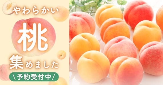 「やわらかい桃派」のあなたへ！お届け月別の桃特集