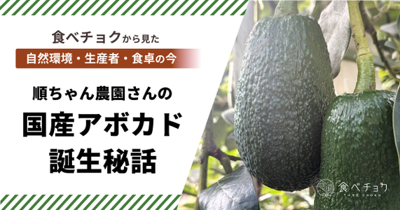 国産アボカド誕生秘話――柑橘農家「順ちゃん農園」さんの挑戦と奇跡の実り