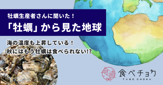 牡蠣漁師さんに聞いた！＜牡蠣から見た地球＞ 海の温度も上昇している！秋にはもう牡蠣は食べられない？