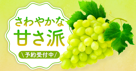 さわやかな甘さのぶどう、大集合！