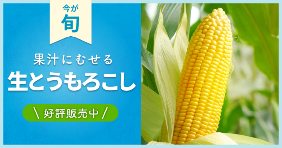 今年は食べ尽くしたい!【とうもろこし】の魅力