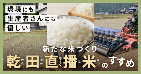 環境にも生産者さんにも優しい、新たな米づくり「乾田直播米」のすすめ