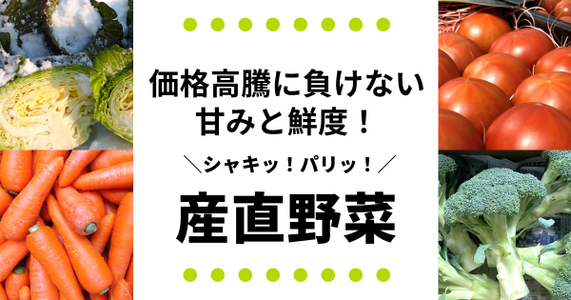 【価格高騰に負けない】甘みと鮮度！産直野菜の魅力をご紹介