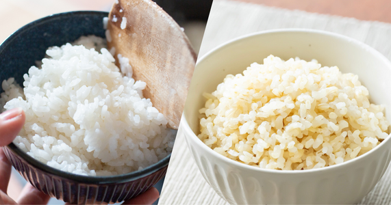 食卓をもっと豊かに！「白米」「玄米」を極める、大人のための米ガイド