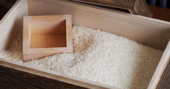 米の鮮度を守る保存方法｜容器選びと季節ごとの対策