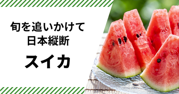 スイカ前線に沿って目指せ！【スイカの全国制覇】