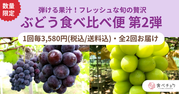 ※完売しました※大好評につき第2弾！旬の贅沢「ぶどう2種食べ比べ便」
