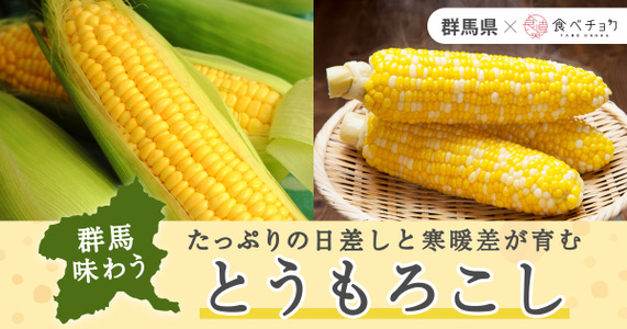群馬の太陽と寒暖差が育むとうもろこし｜夏の旬を産地直送でお届け