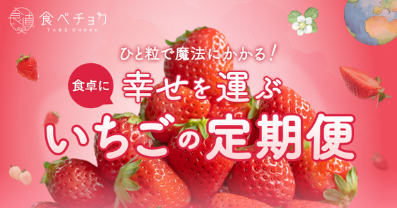 月に1回のお楽しみに♪ふたつの「幸せを運ぶ いちごの3回定期便」