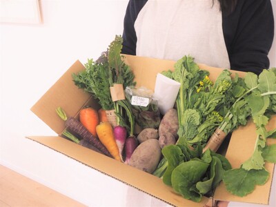[2020]How to Get Organic Vegetables Directly from Farmers in Japan [bio]