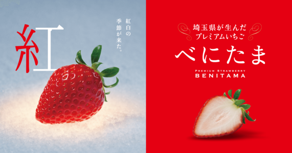 埼玉県オリジナルいちご品種特集③｜ネクストブレイク必至！今推したい旬いちご「べにたま」をご存知ですか？
