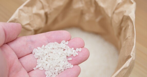 米10kg の価格相場と品種・保存方法を徹底解説