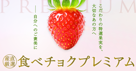 【国産完熟・食べチョクプレミアム】　極上いちご「とちあいか」「あまりん」など勢揃い