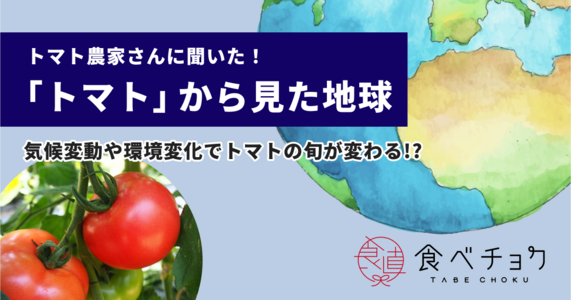 トマト農家さんに聞いた！＜トマトからみた地球＞ 気候変動や環境変化でトマトの旬が変わる！？