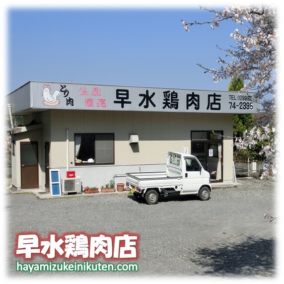 早水鶏肉店