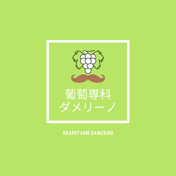 葡萄専科ダメリーノ