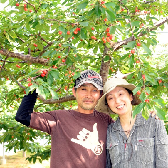 すべての生産者｜167ページ目｜食べチョク｜産地直送(産直)お