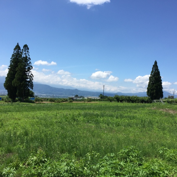 野菜屋　八町