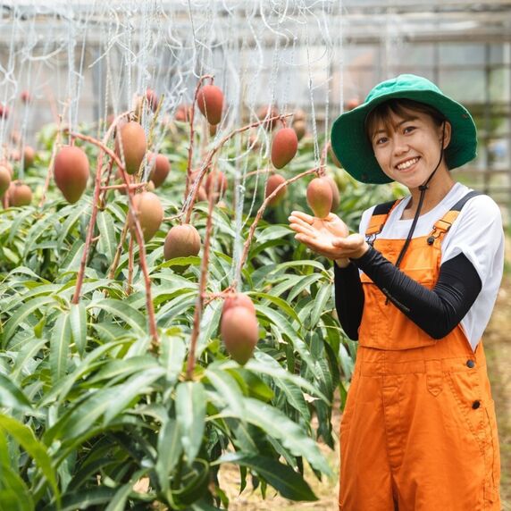 ぷすぷす農園