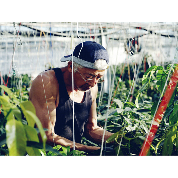 ノラワークスジャパン