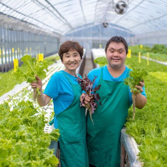 ファーム海女乃島