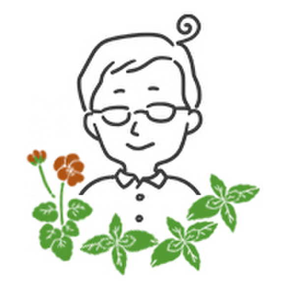 ねっこのハーブ