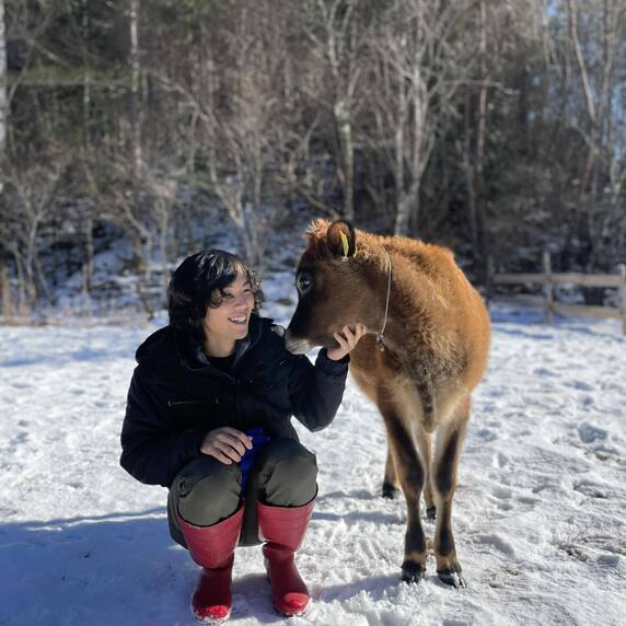 ペアツリーファーム