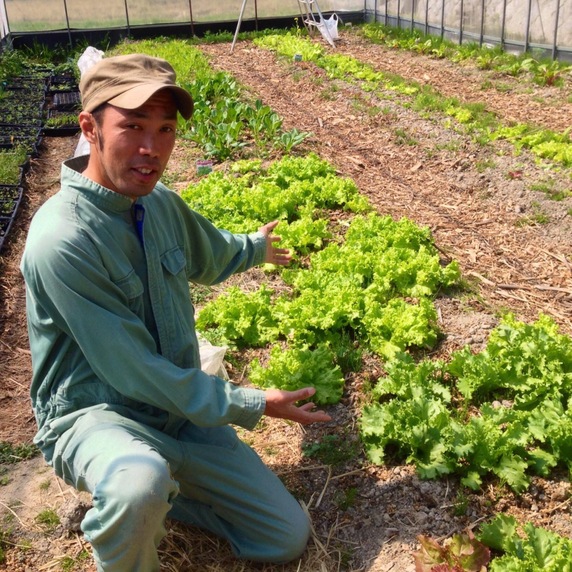 Ryo-2 Farm
