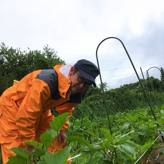 成澤菜園