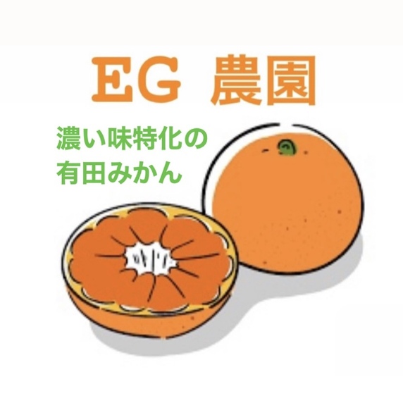 濃い味特化の有田みかん　EG農園