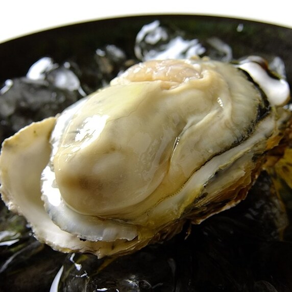 カネマン水産