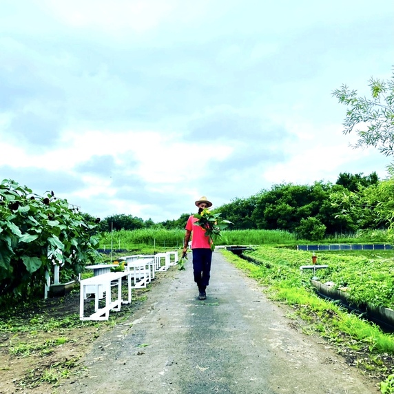kokoro's farm