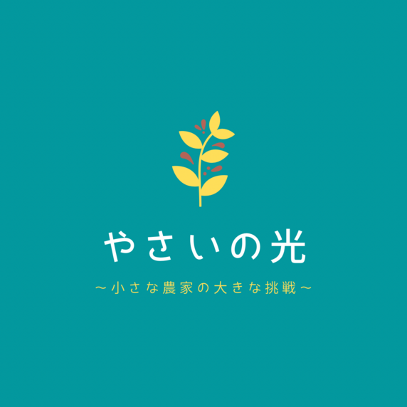 やさいの光
