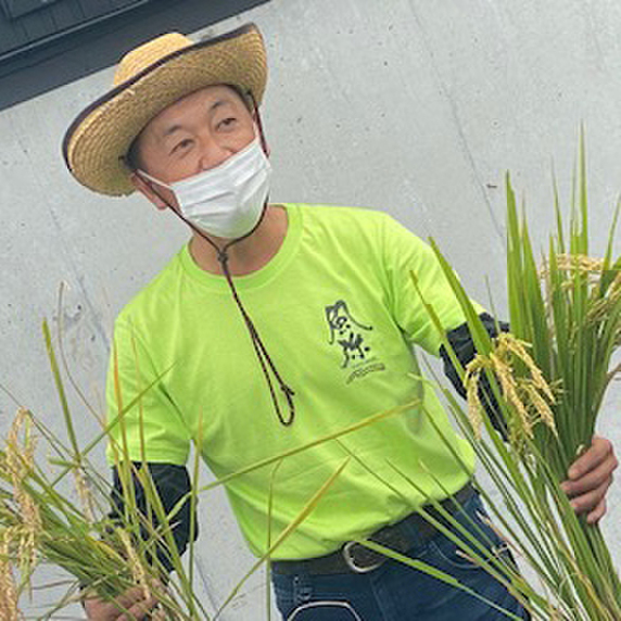 グリーンウィンド